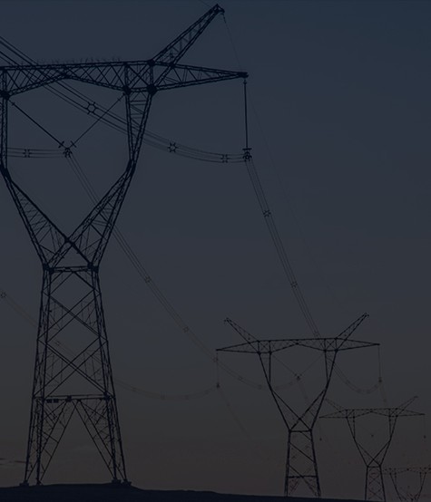 Maquinari de la línia de pals